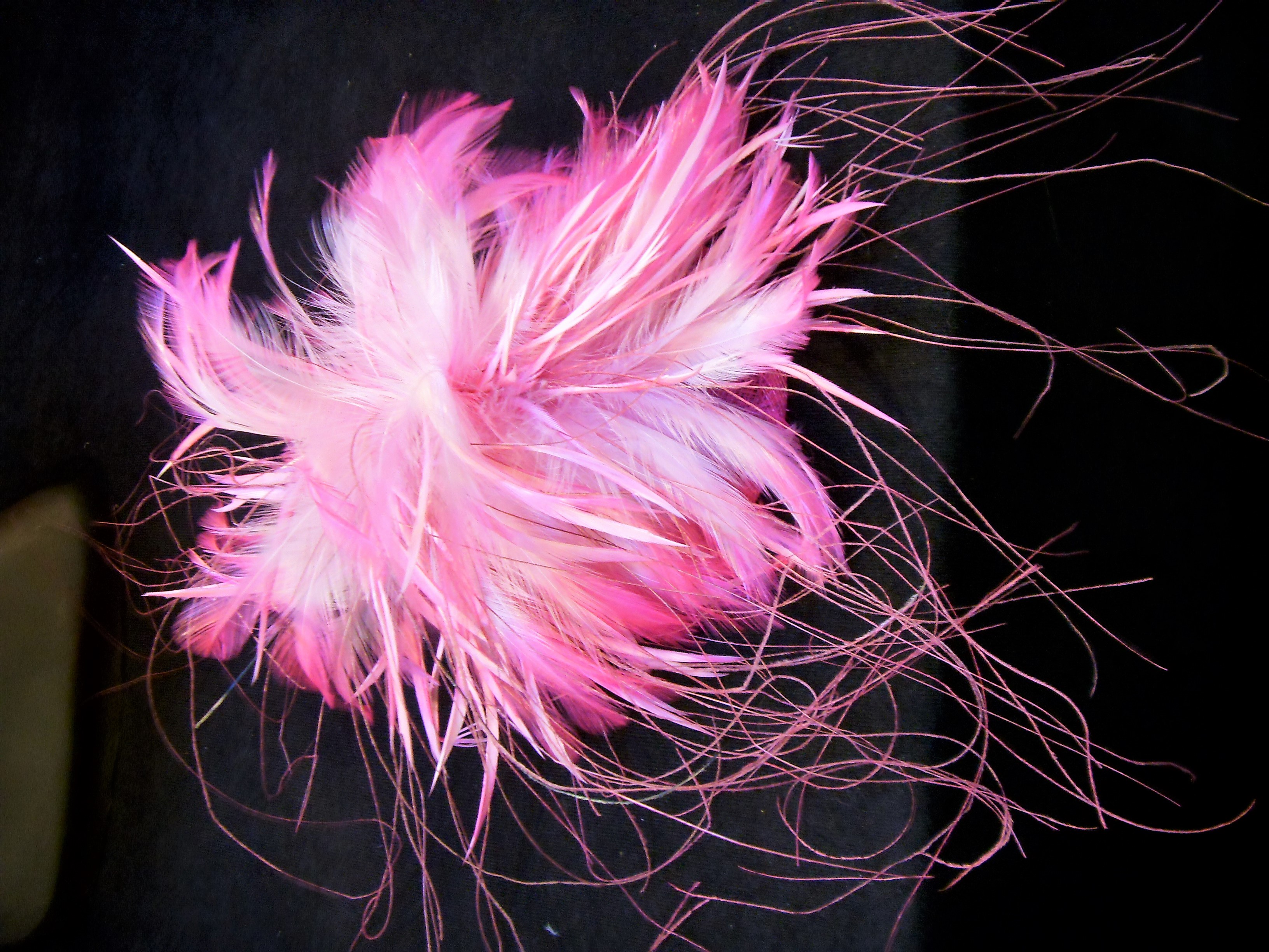 Enhanced 1 FACES of Clevedon